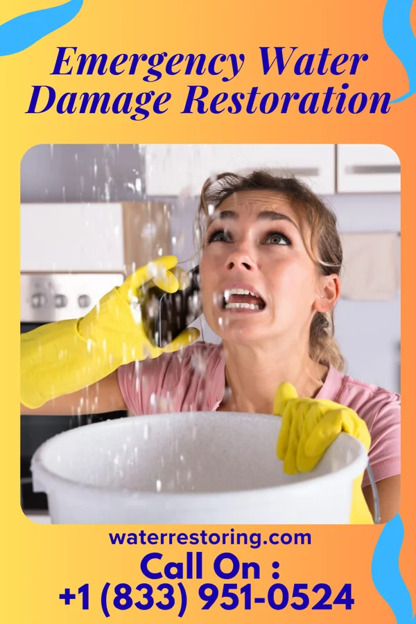 Emergency Water Damage Restoration in Opdyke West, TX