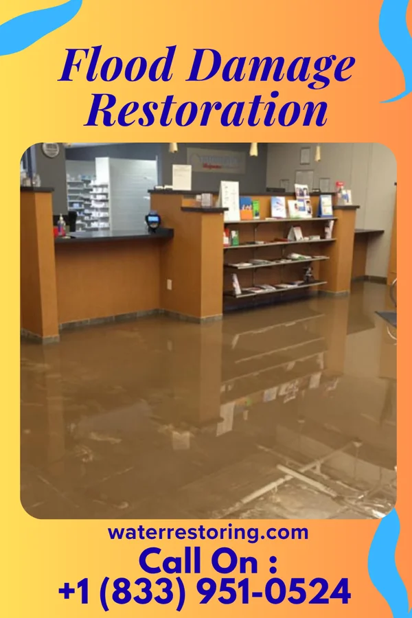 Flood Damage Restoration in Opdyke West, TX