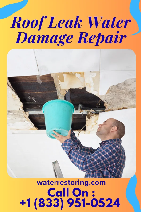Roof Leak Water Damage Repair in Opdyke West, TX